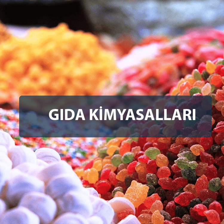 GIDA KİMYASALLARI